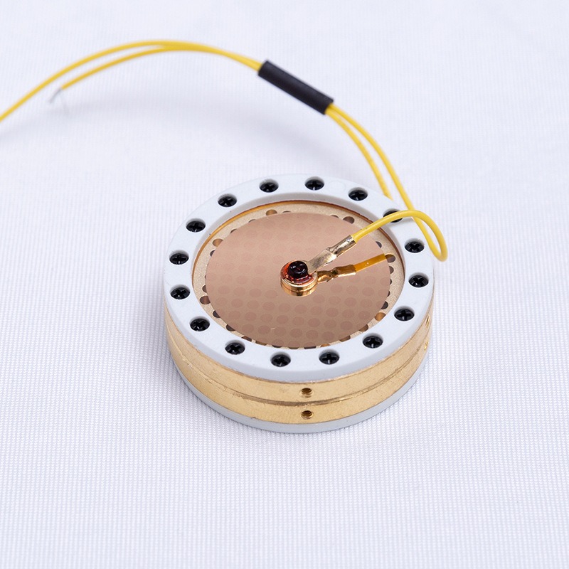 Microphone Capsule - RK-87 Großmembran-Mikrofonkapsel mit vergoldeter Membran, einseitiger