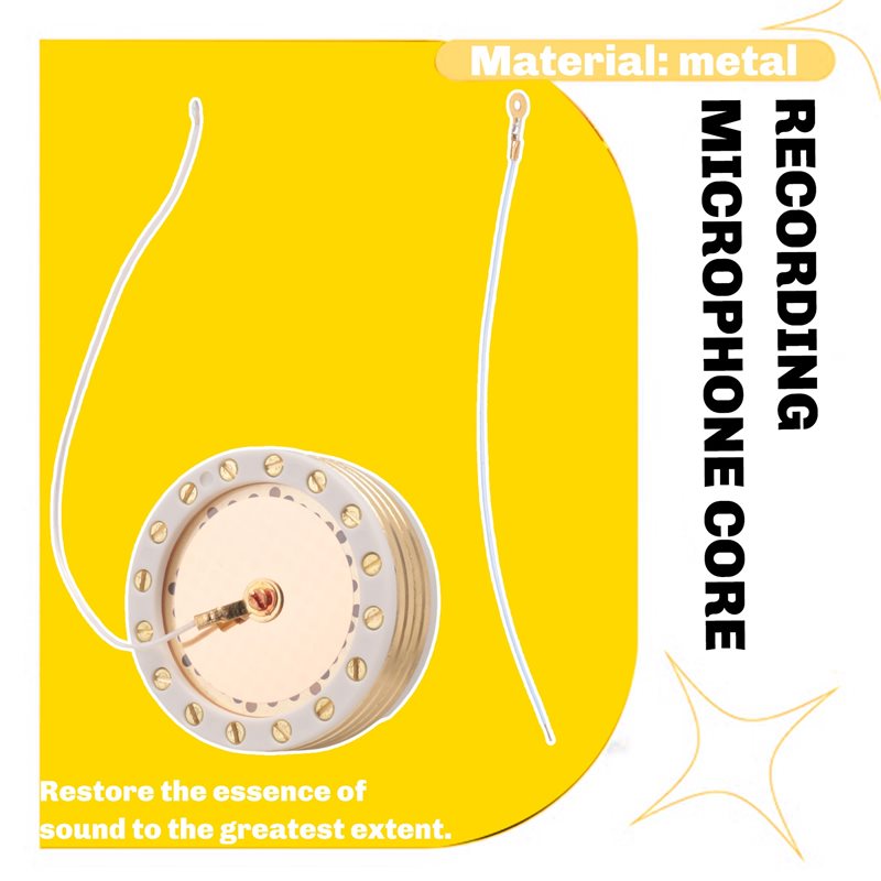 RK-87 34mm Großmembran-Kondens – Microphone Capsule Bewertung und Preis
