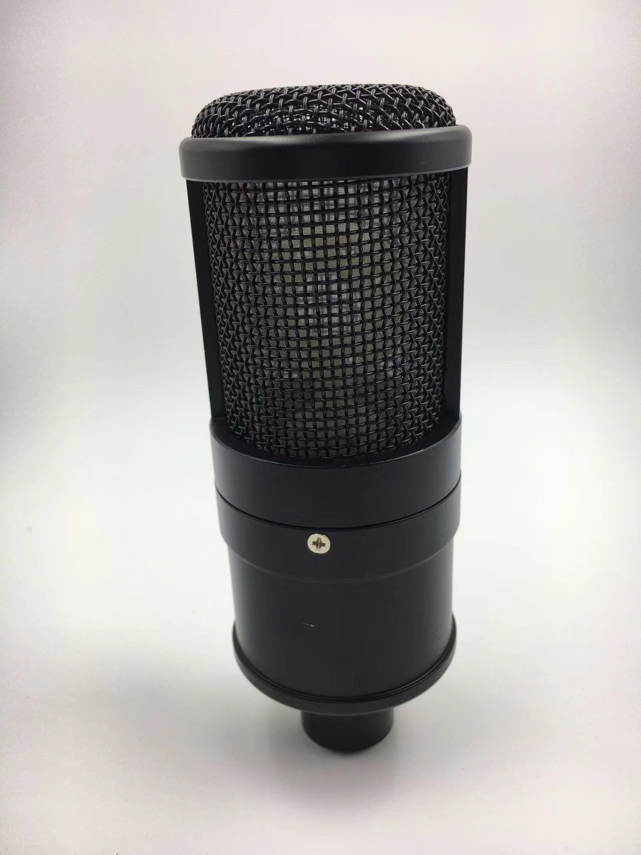 Schweres Mikrofongehäuse für D – Ribbon Microphone Bewertung und Preis